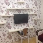 T24 nij plazmal&inodot;k