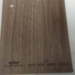 ST101